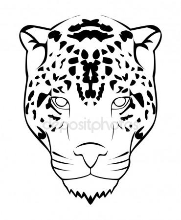 370x450 Cheetah Face Stock Vectors, Royalty Free Cheetah Face