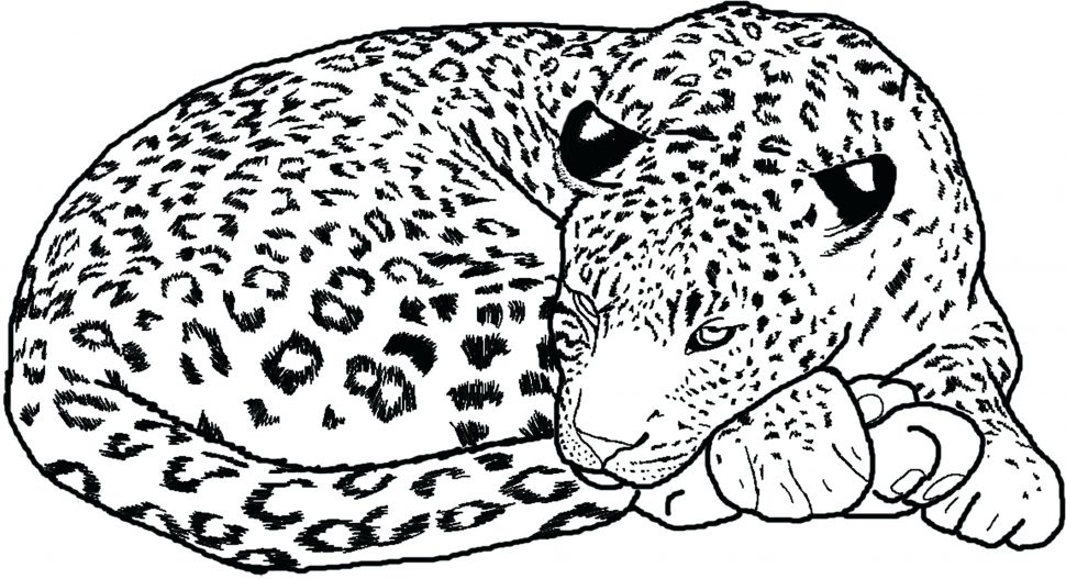 970x527 Coloring Pages Glamorous Cheetah Coloring Pages Charming Running
