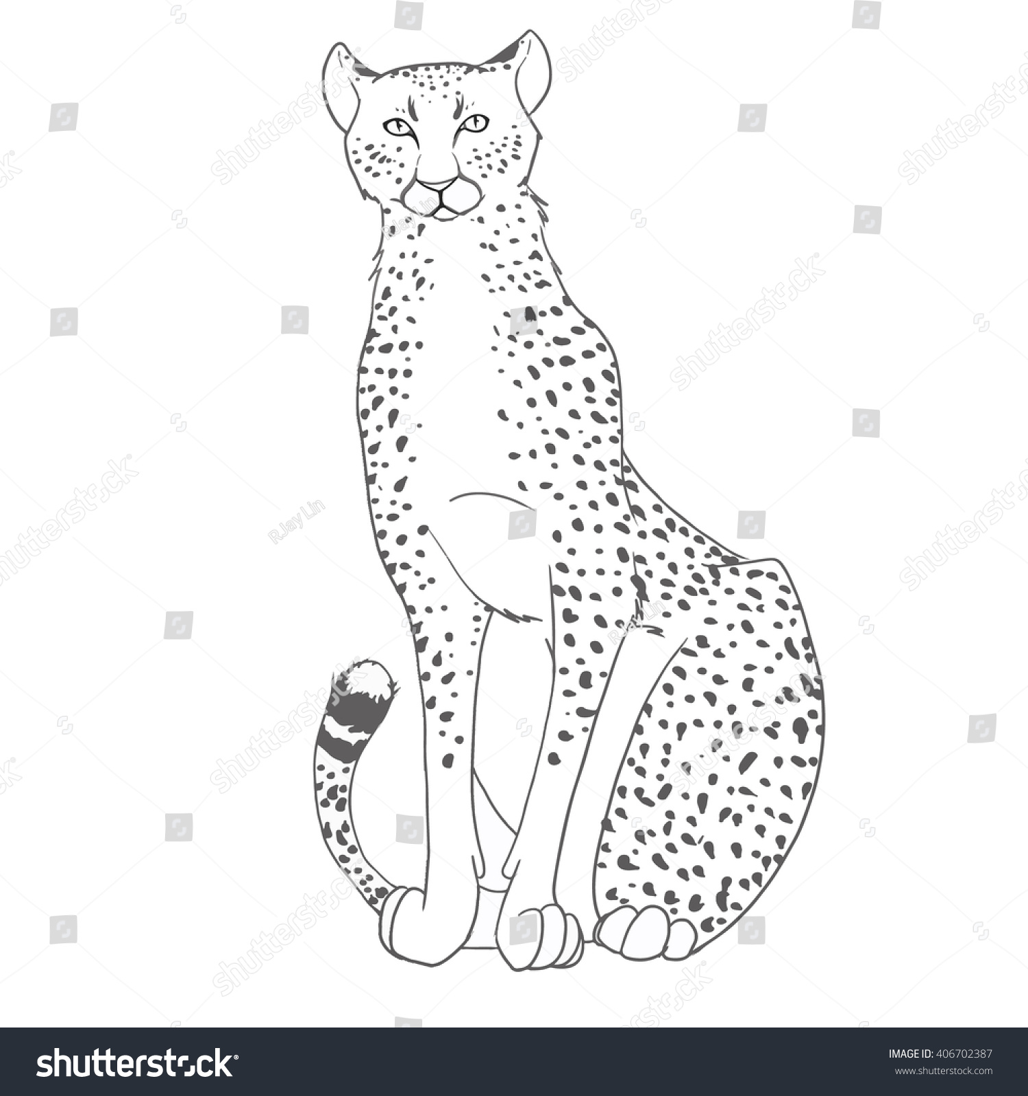 1500x1600 Drawn Cheetah Cheeta