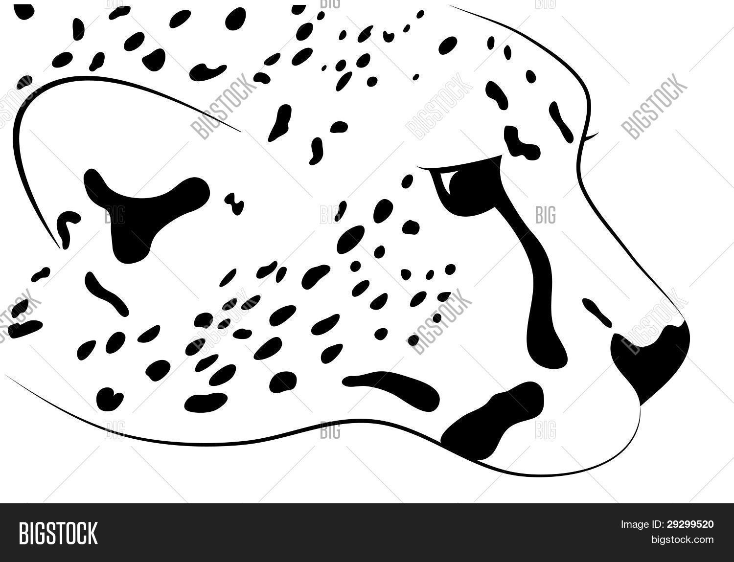 1500x1149 Silhouette Head Cheetah Vector Amp Photo Bigstock