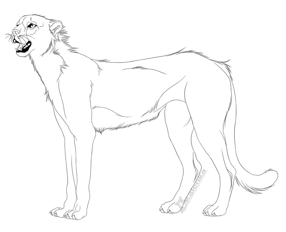 993x805 Free Use Cheetah Lineart By Kalenka
