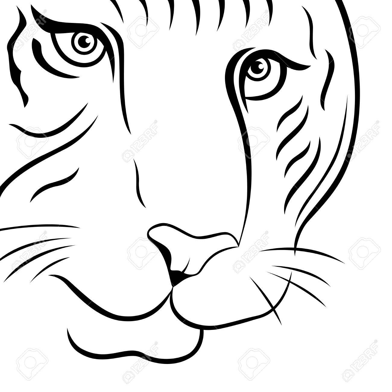 1300x1300 Part Of Funny Tiger Face, Hand Drawing Vector Outline Isolated