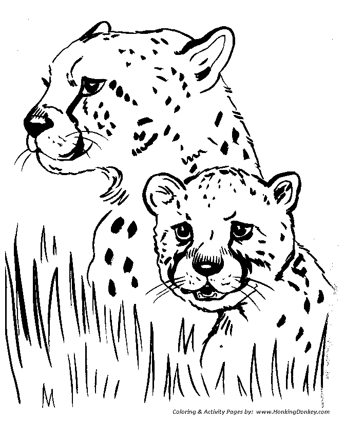 670x820 Cheetah Coloring Pages In Snazzy Print Photo Kids Coloring Pages