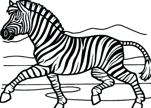 600x432 Cheetah Print Coloring Pages Zebra Printable Coloring Pages Zebra