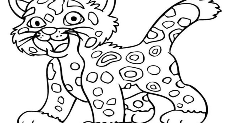 735x400 Animal Coloring Baby Animal Coloring Page Cheetah Cub Baby Animal