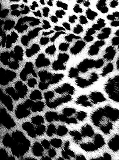 236x316 Best Cheetah Print Wallpaper Ideas On Leopard
