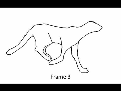 480x360 Cheetah Run Cycle (One Of My Bests)