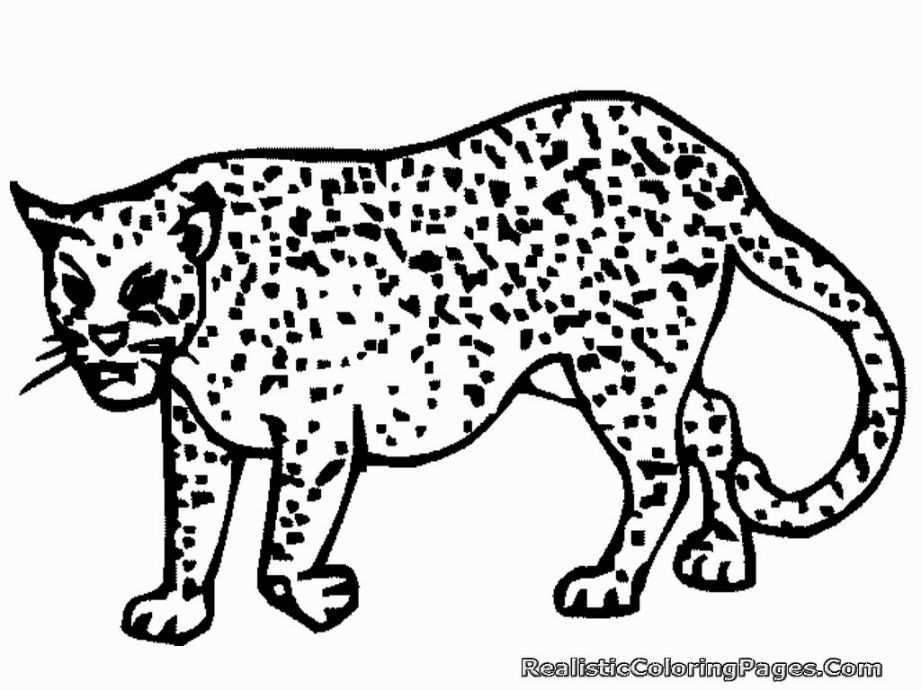 921x690 Coloring Pages Of Cheetahs Coloring Pages Cheetahs