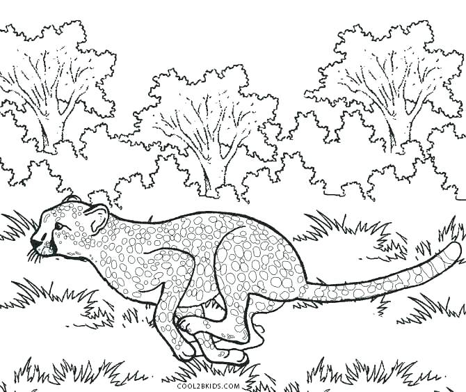 670x563 Coloring Pages Of Cheetahs Running Coloring Pages Free Printable
