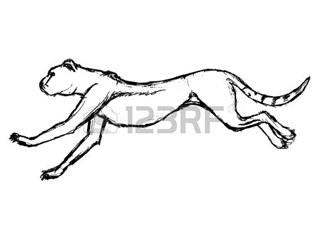450x338 Hand Drawn, Grunge, Sketch Illustration Of Running Cheetah Royalty