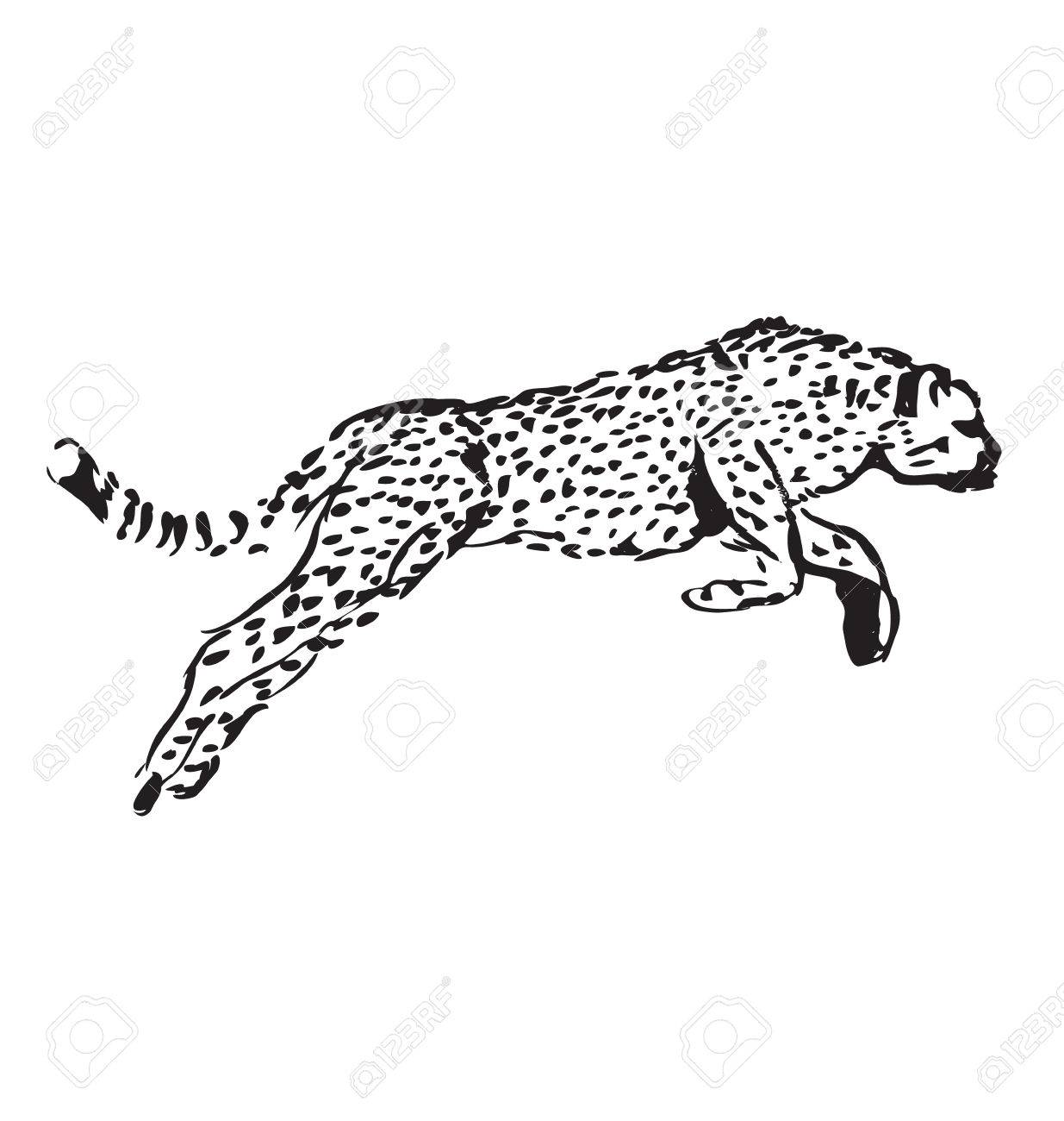1235x1300 Hand Sketch Leaping Jaguar Royalty Free Cliparts, Vectors,