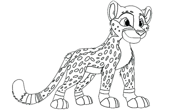 720x460 Cheetah Animal Coloring Pages Cheetah Coloring Page Animal Jam