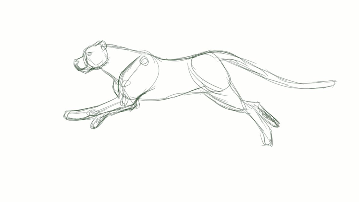 1191x670 Cheetah Run Cycle