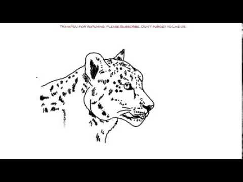 480x360 How To Draw A Cheetah Yzarts Yzarts