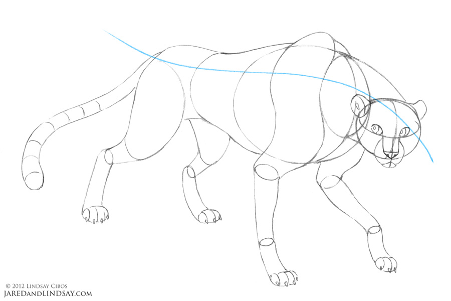 900x600 How To Draw A Cheetah Last Of The Polar Bears