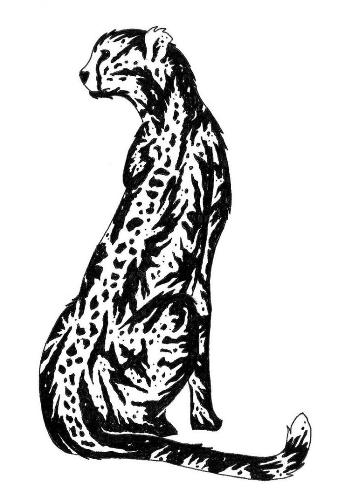 687x1016 Bedroom Cartoon Cheetah How To Draw A Clipart Image Print
