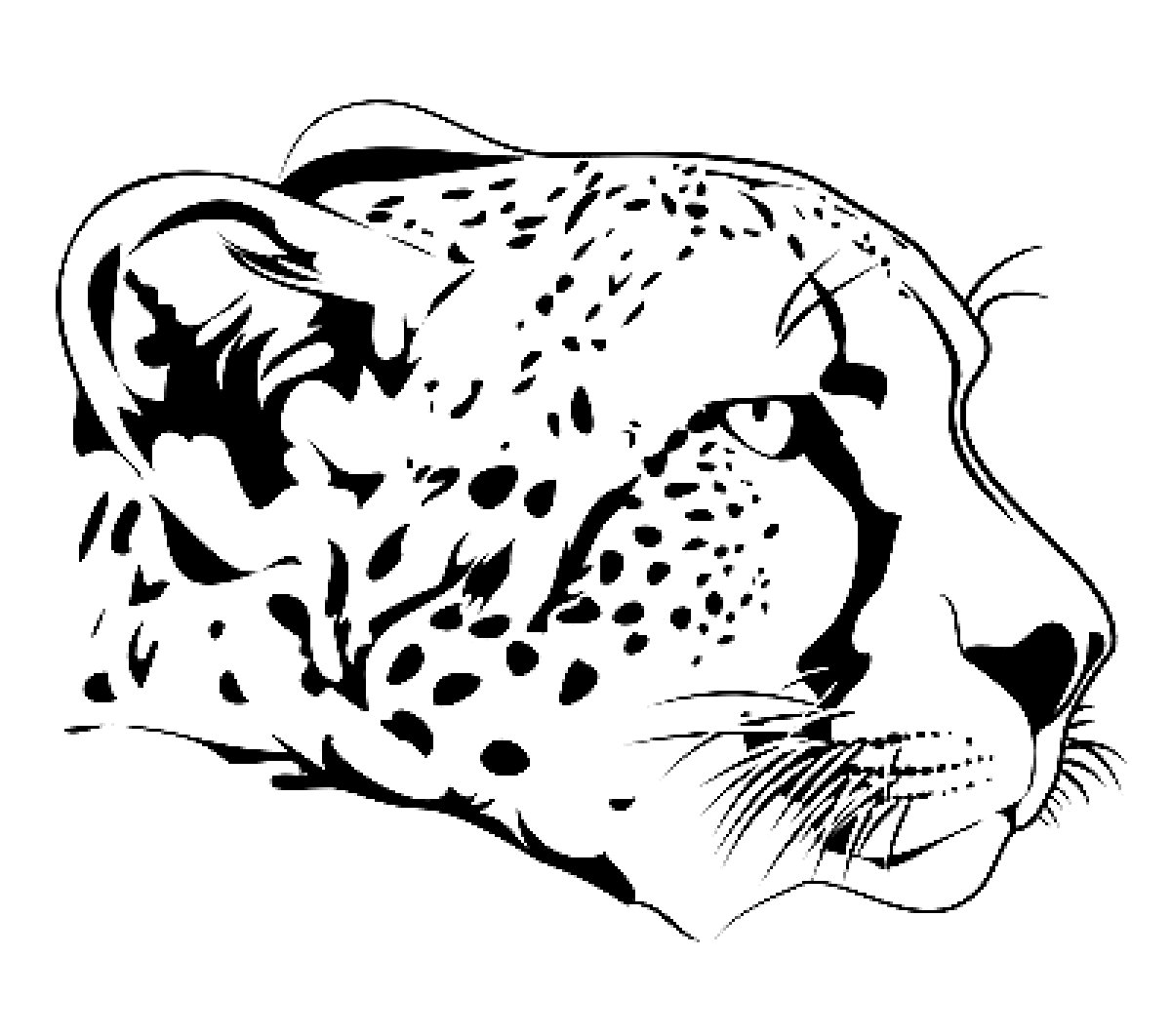 1200x1062 Cheetah Face Coloring Page Drawings I Like Cheetahs