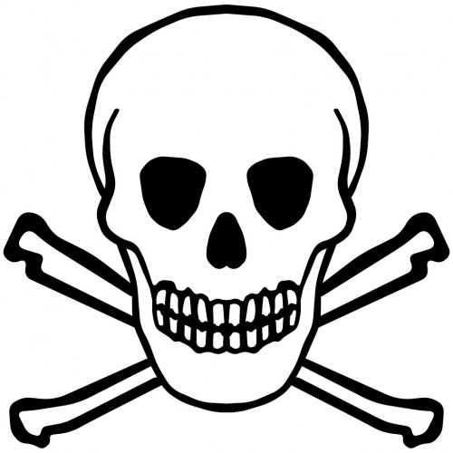 500x500 The Noxious 9 Common Chemicals To Avoid When Cleaning. ~ Anselm