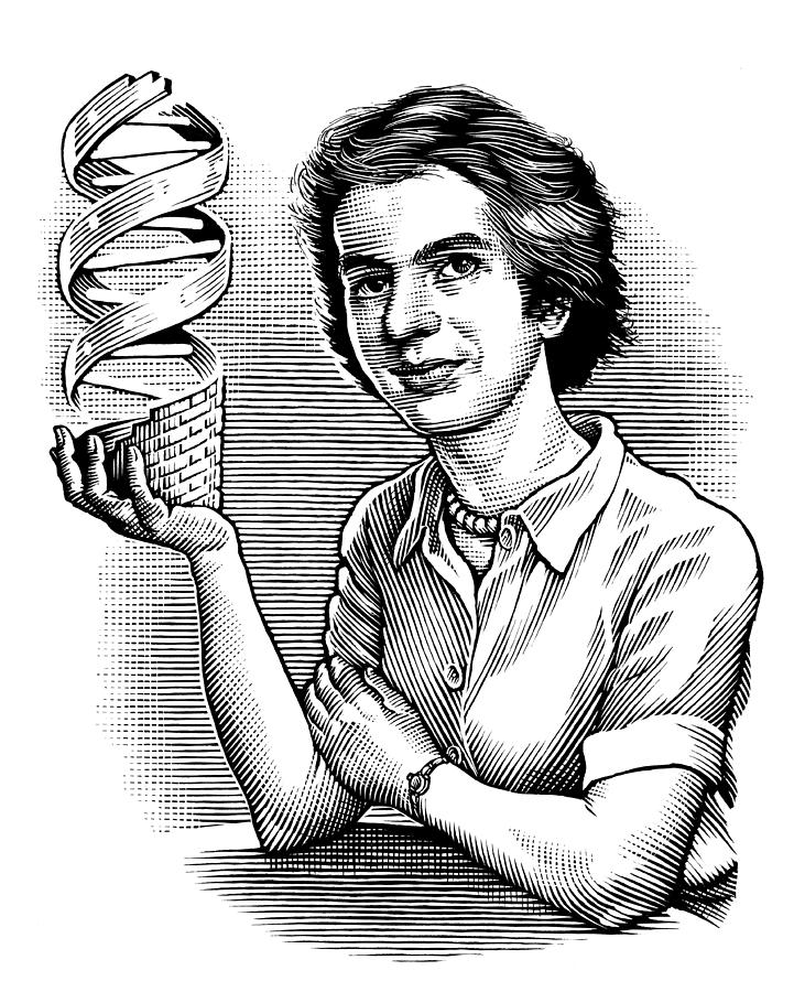 721x900 Rosalind Franklin, British Chemist Photograph By Bill Sanderson