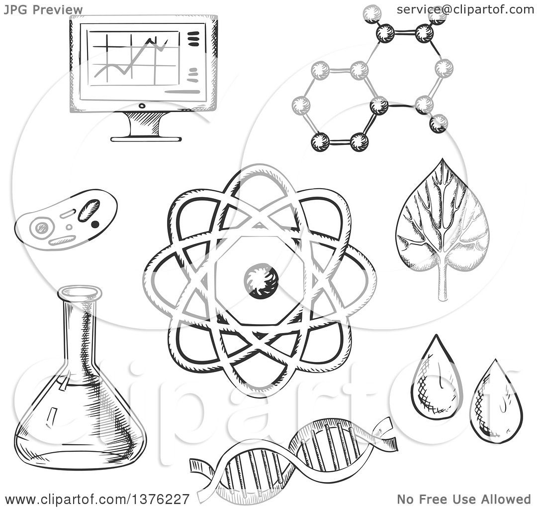 1080x1024 Clipart Of Black And White Sketched Biology And Chemistry Items