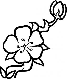 255x302 How To Draw How To Draw A Cherry Blossom For Kids