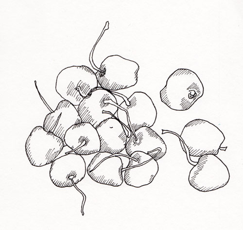 500x473 Pen, Pencil, Adding Color To Your Drawings