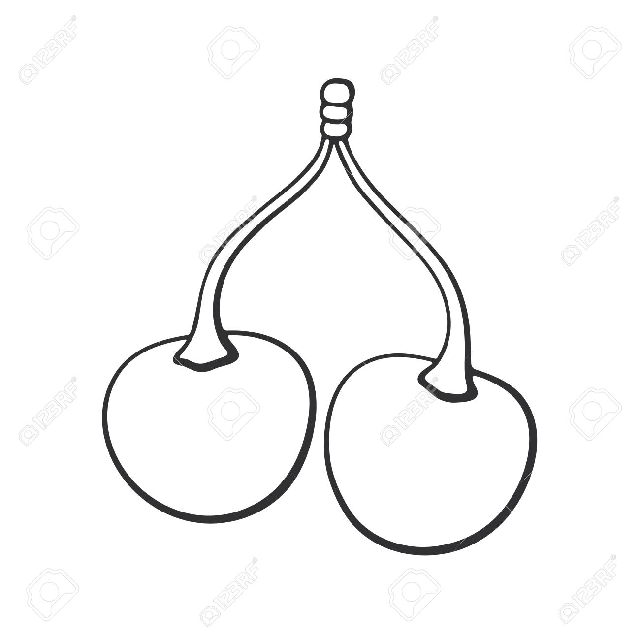 1300x1300 Vector Illustration. Hand Drawn Doodle Twin Cherries