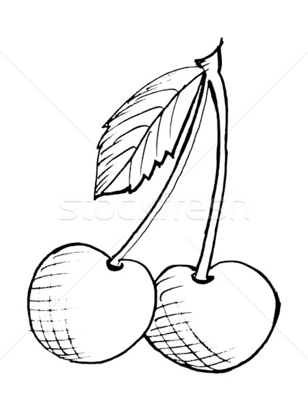 450x600 Cherries Vector Illustration Oleksandr Kovalenko (Perysty