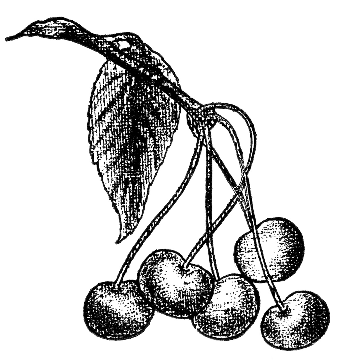 1200x1256 Is Request Day