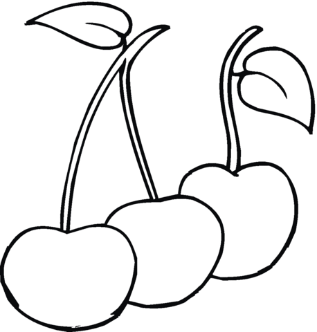 Cherries Drawing