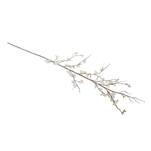 600x600 Cherry Blossom Branch New Growth Designs
