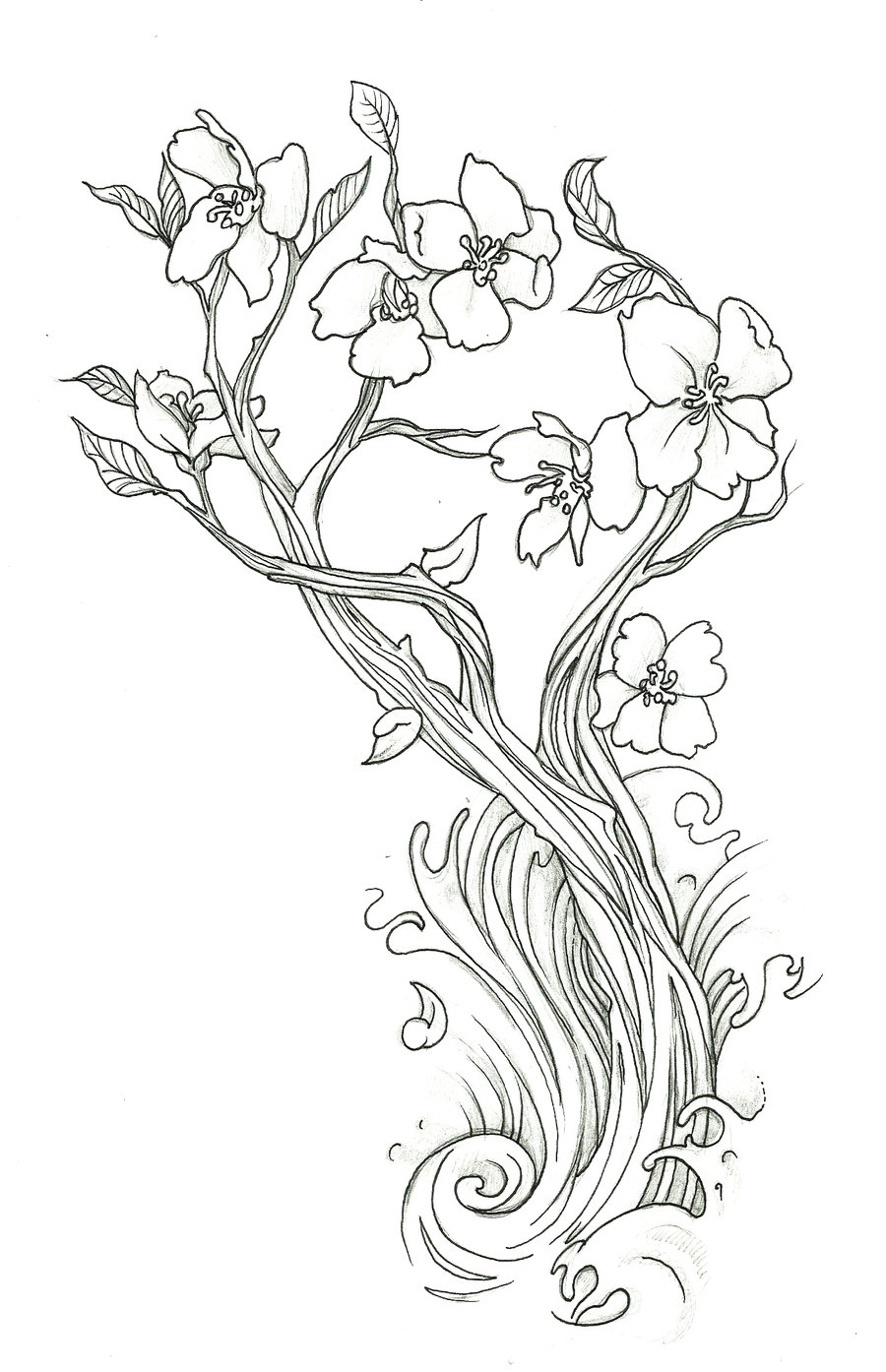 Cherry Blossom Branch Drawing at GetDrawings | Free download