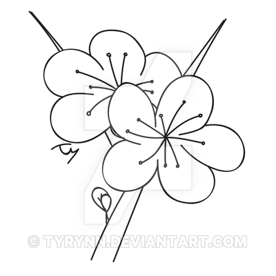 400x400 Cherry Blossom Quick Draw