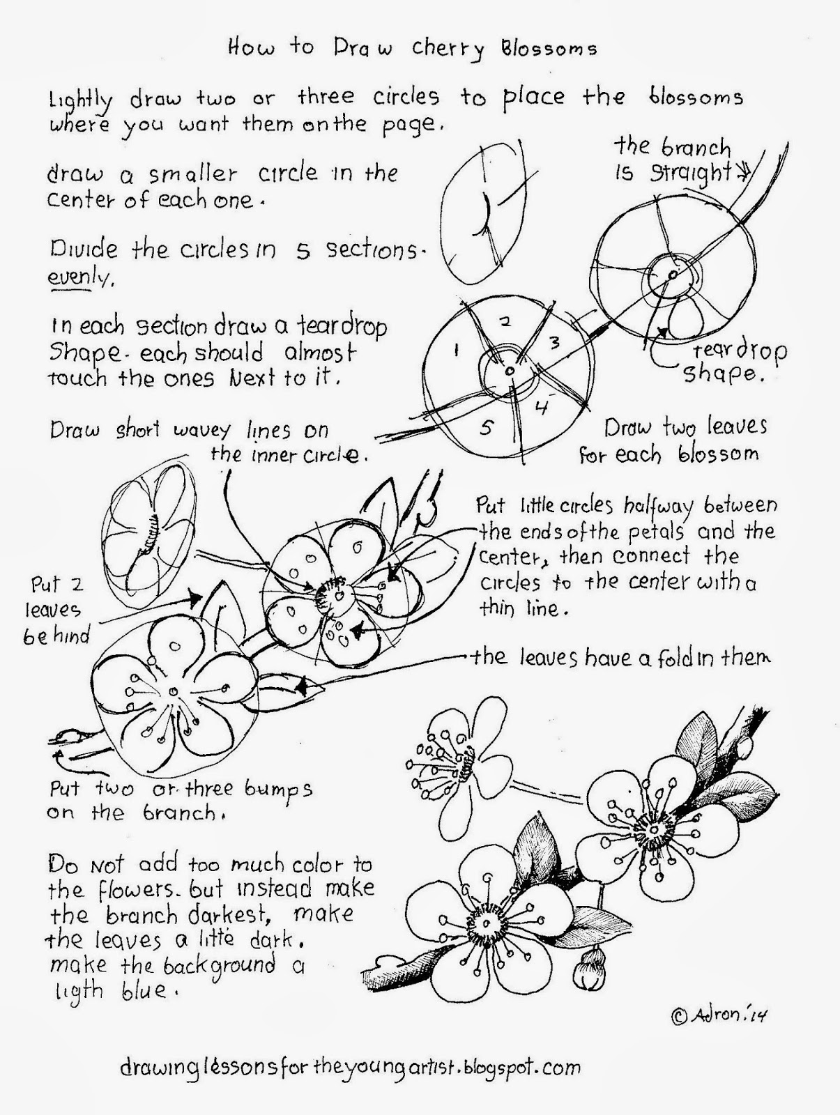 1205x1600 How To Draw Worksheets For The Young Artist How To Draw Cherry