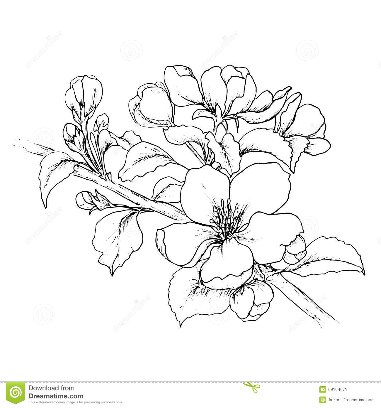 1300x1390 Pin By Selma Kaymak On Drawing Art Drawing Art