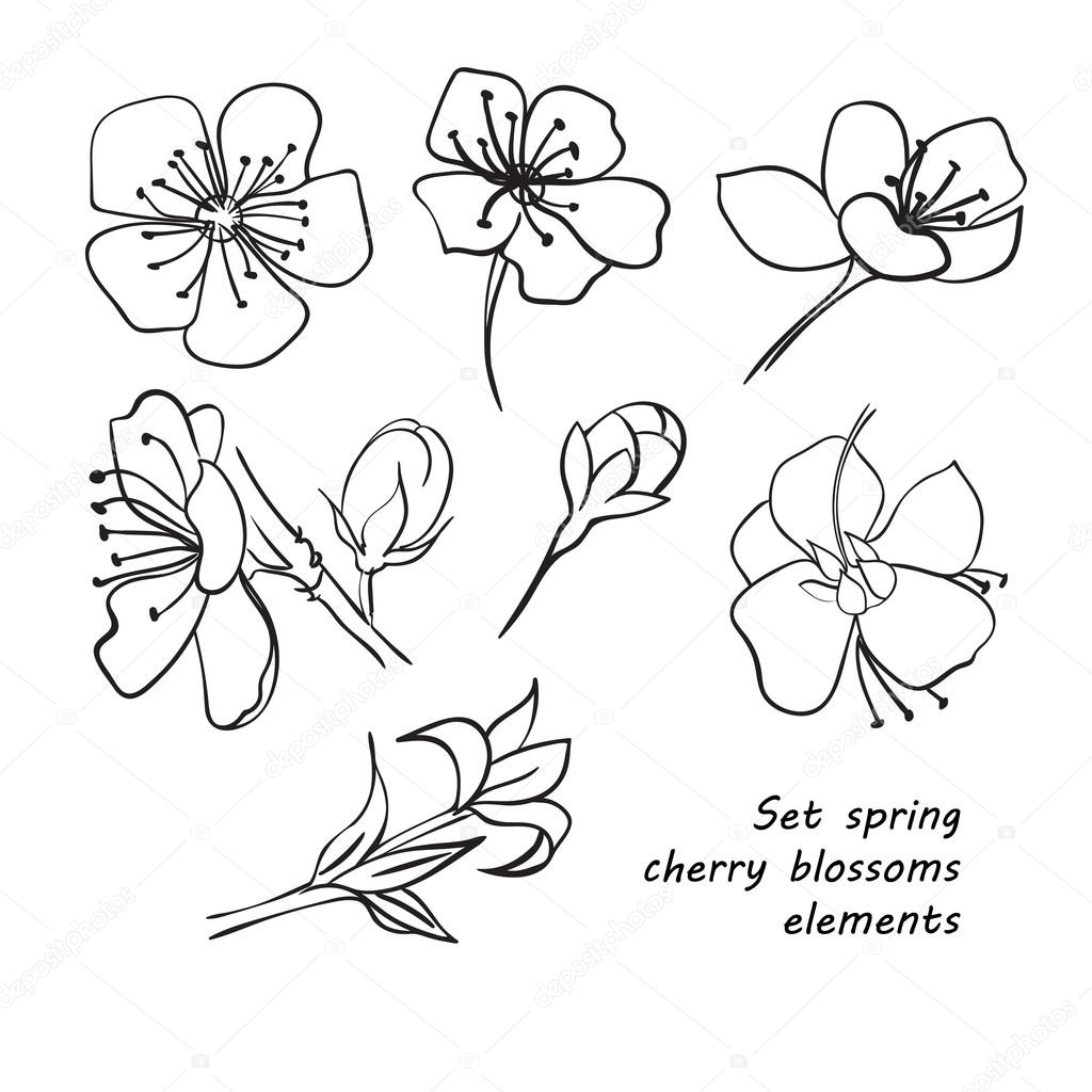 1024x1024 Set Of Spring Cherry Blossom Flowers. Hand Drawing. Stock Vector
