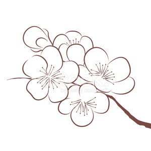 300x300 Spring Cherry Blossom Stock Vectors