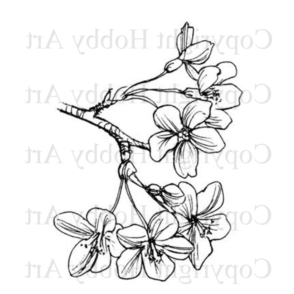 1024x1024 New Document. Asian Cherry Blossom Tattoo Designs Tattoos Zimbio I