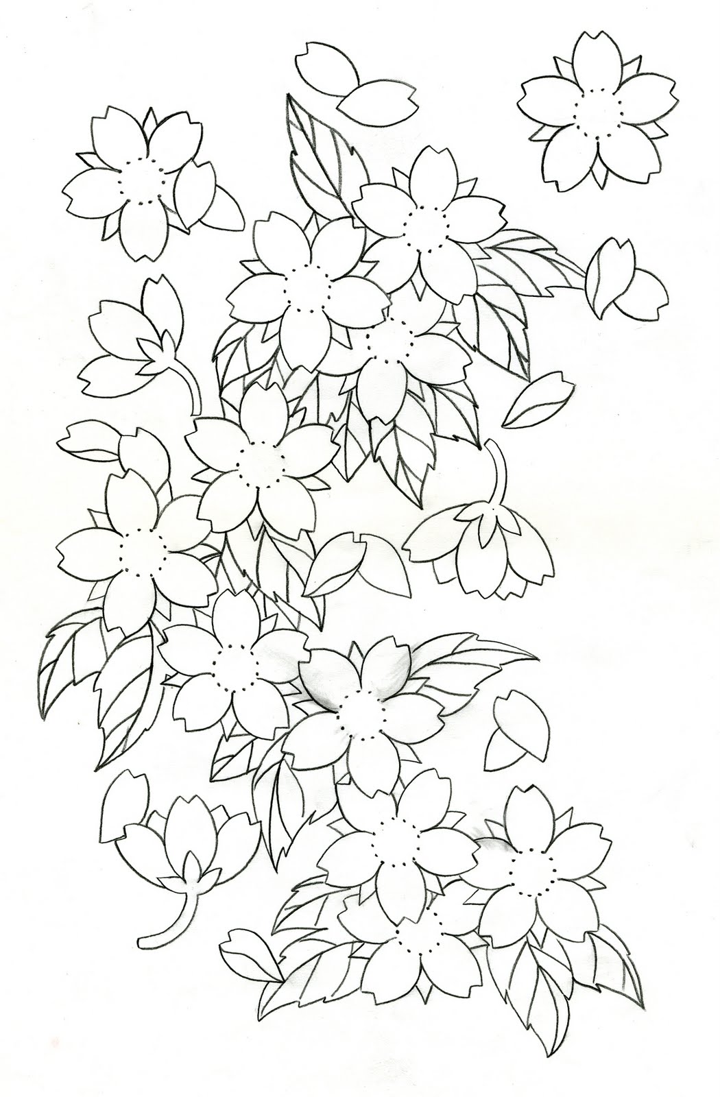 Cherry Blossom Drawing Outline at GetDrawings | Free download