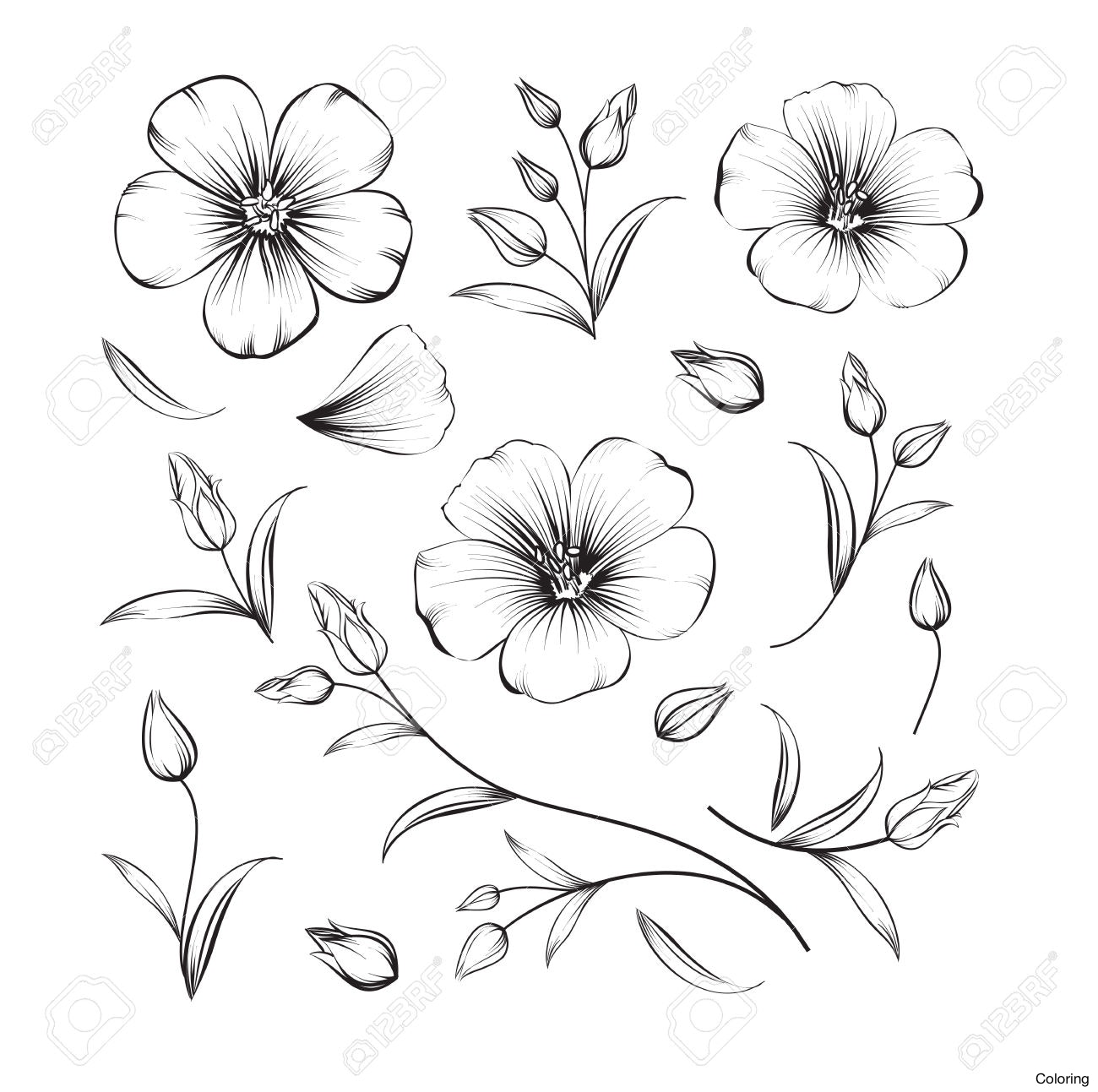 Cherry Blossom Drawing Outline at GetDrawings | Free download