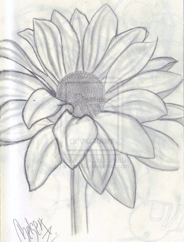 600x791 9540 Best Drawing Images On Drawings, Paint