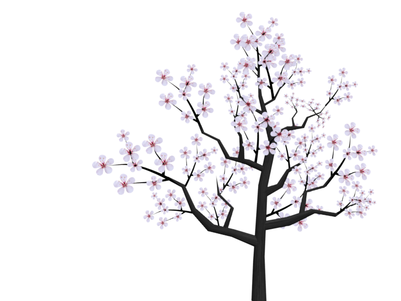 800x600 Tree Cherryblossom Sakura Kawaii Tumblr Ftestickers