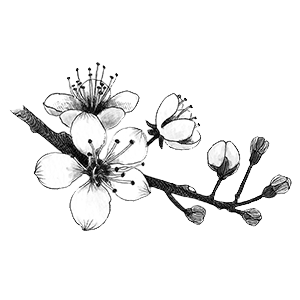 300x300 Blossom Tumblr Drawings