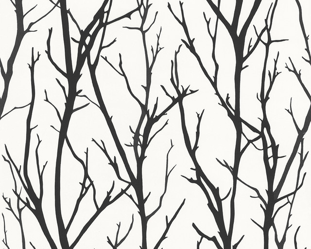 640x512 Branch Wallpapers, Branch Backgrounds For Windows And Mac Systems