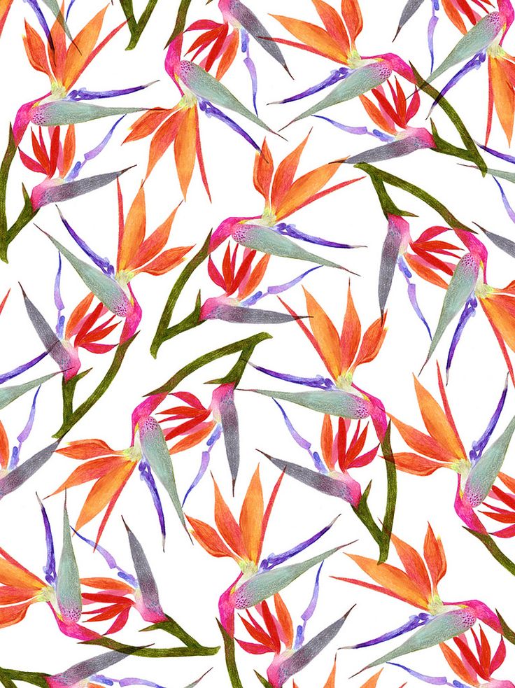 736x983 3247 Best Wallpapers Images On Wall Papers, Wallpaper