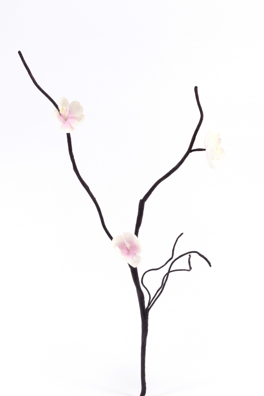 1000x1500 Paper Flowers Handmadecherry Blossom Paper Flower Byhands