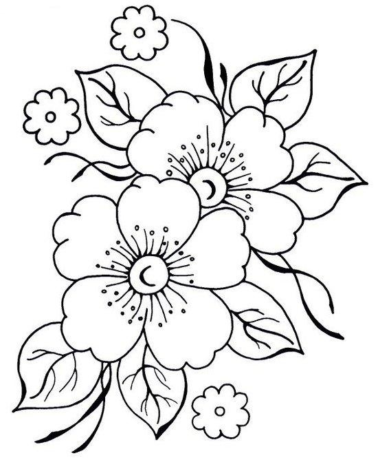 550x681 Apple Blossom Clipart