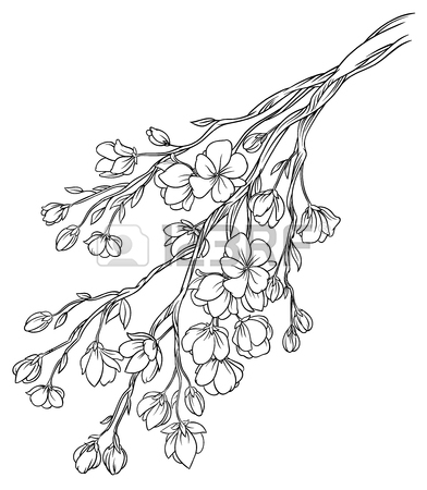 392x450 Vector Hand Drawing