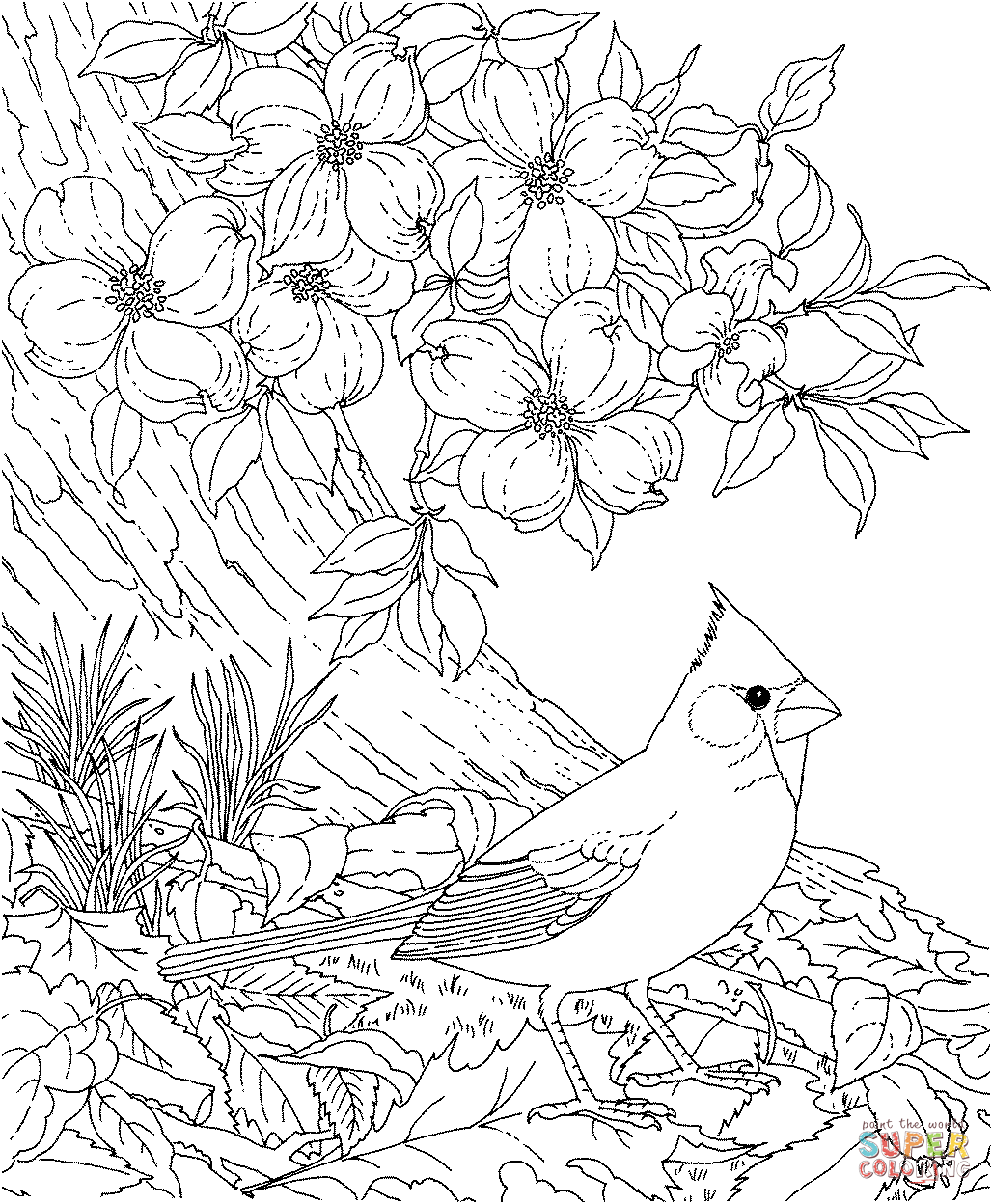 1028x1248 Cherry Blossom Coloring Pages