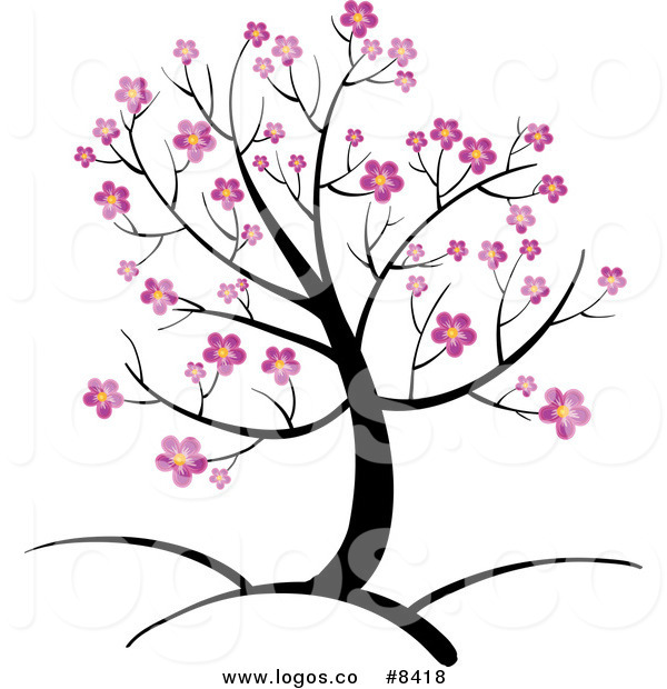 600x620 Leaf Clipart Cherry Blossom